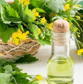 Celandine v boji proti houbě